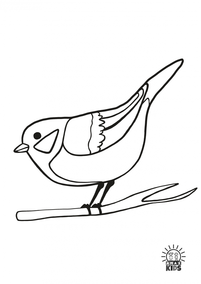 Winter coloring pages for kids with birds   Amax Kids