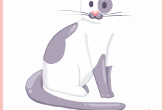 Animal_Cat