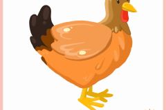 Animal_Chicken
