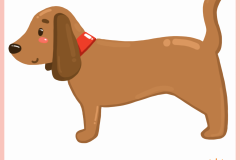 Animal_Dog