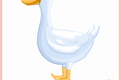 Animal_Duck