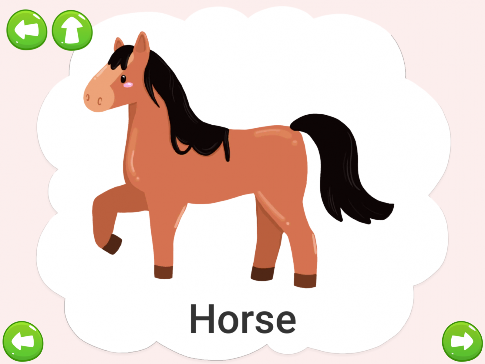 Online flashcards for babies with animal sounds and games | Amax Kids