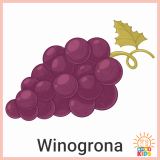 FruitsAndVegetables_Grapes