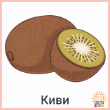 FruitsAndVegetables_Kiwi