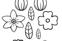 BlackAndWhite.Flowers