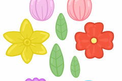 ColourFlowers