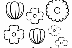 Flowers.Decor_.BlackAndWhite