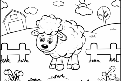Sheep