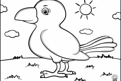 Crow