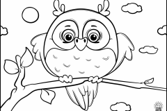 Owl