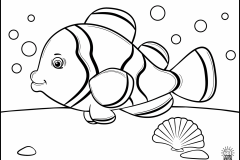 ClownFish