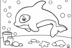 KillerWhale