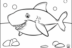 Shark