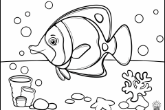 SpotfinButterflyfish