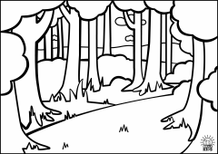 Forest.BlackAndWhite