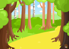 Forest.Color_