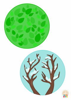 1Color