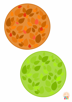 2Color