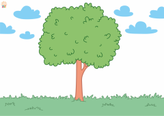 ColorBackground