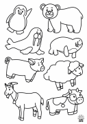 BlackAndWhite.Animals2