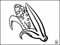 Corn