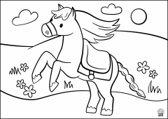 Pony