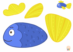 Fish4.Color_