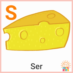 Flashcards.Flashcard.Food_Cheese