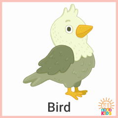 Animals.Bird_