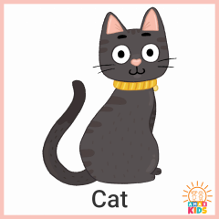 Animals.Cat_
