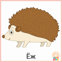 Animals.Hedgehog