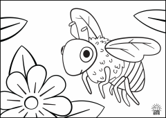 Bee1