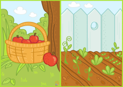 FruitsAndVegetables.Sorting.Color_
