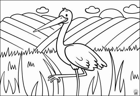 Stork