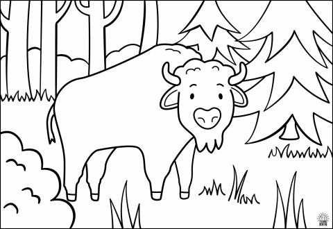 Wisent