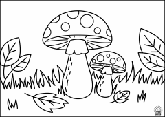 Mushroom