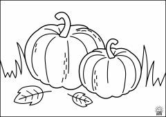 Pumpkin