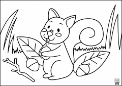 Squirell