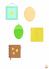 Shapes3
