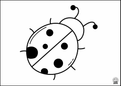 Red.Ladybug