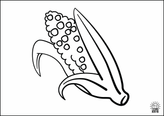 Corn