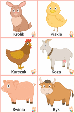 Animals.Farm_.PL_.1