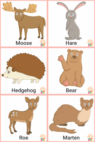 ForestAnimals.EN_.02
