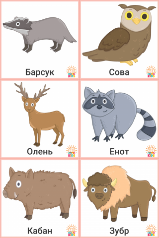 ForestAnimals.RU_.01