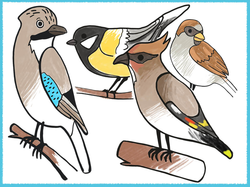 Winter coloring pages for kids with birds | Amax Kids