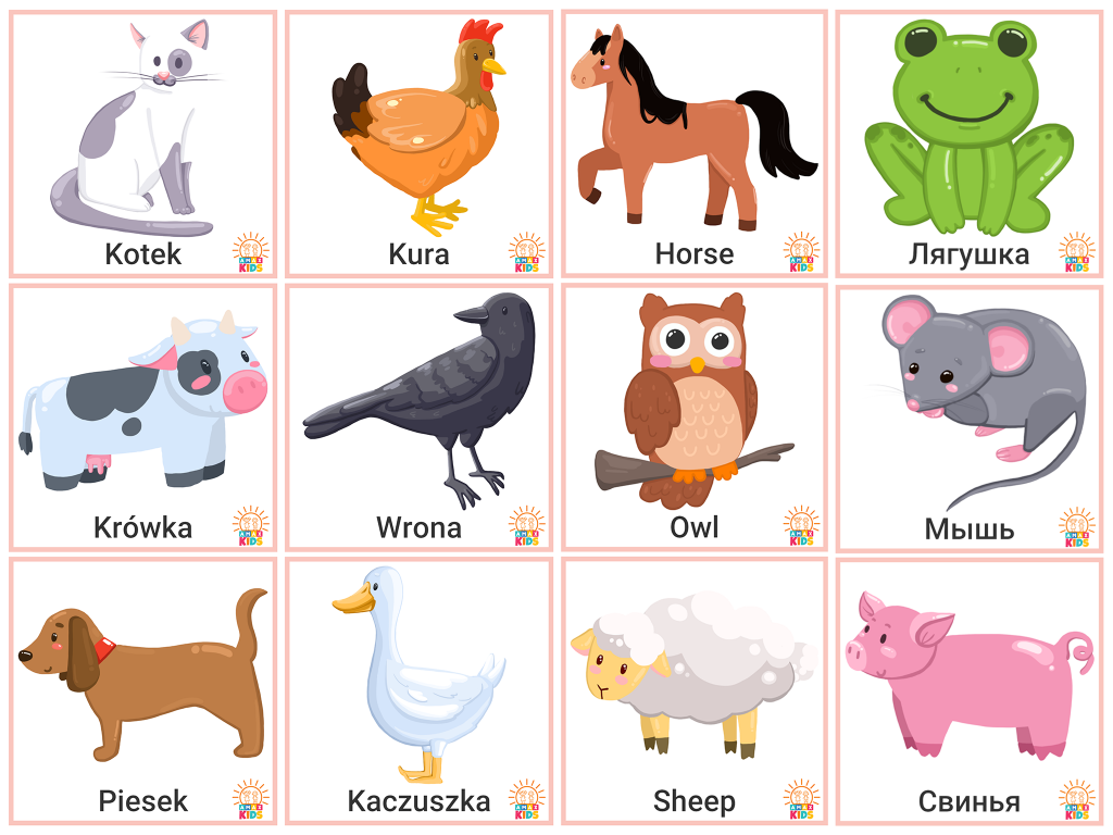 flashcards-for-babies-with-animals-amax-kids